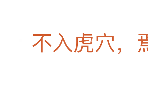 不入虎穴,焉得虎子