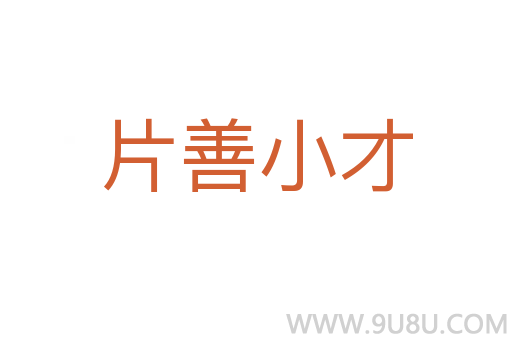 片善小才