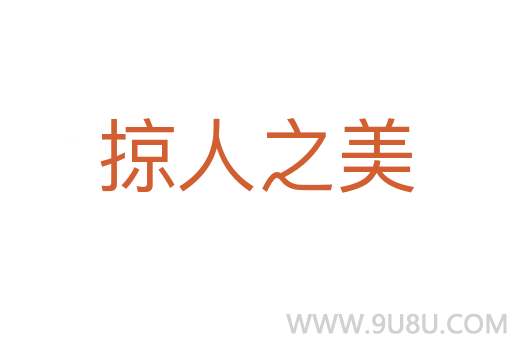 掠人之美