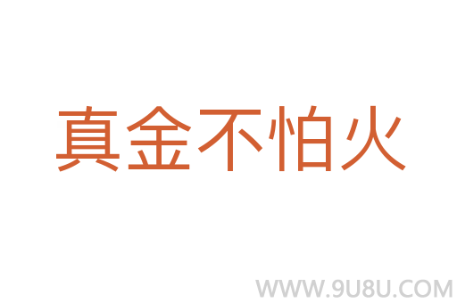 真金不怕火