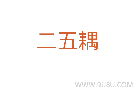二五耦