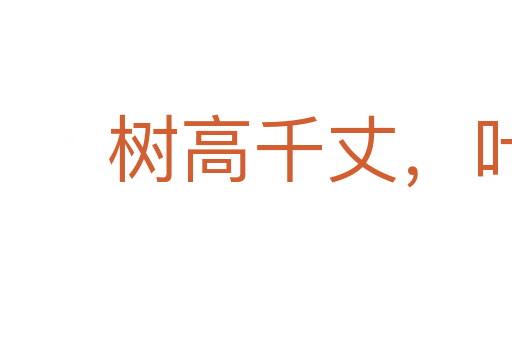 树高千丈,叶落归根