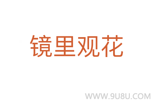 镜里观花