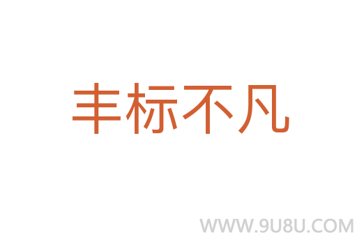 丰标不凡