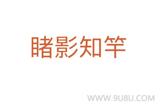 睹影知竿