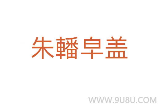 朱轓皁盖