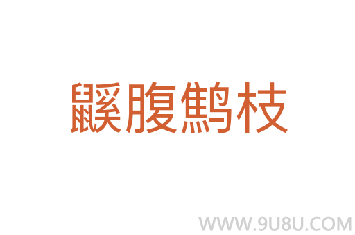 鼷腹鹪枝
