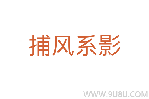 捕风系影