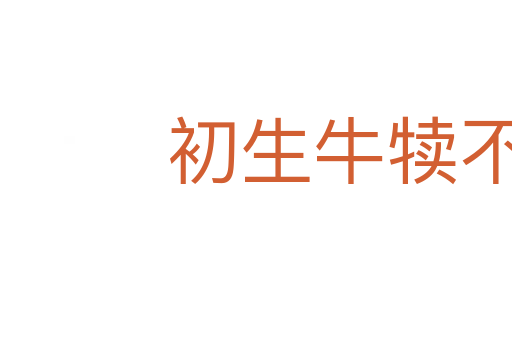 初生牛犊不怕虎