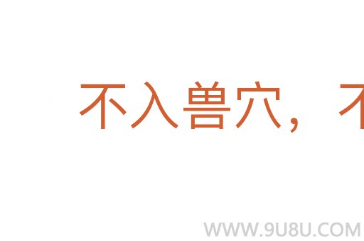 不入兽穴，不得兽子