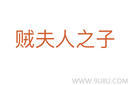 贼夫人之子