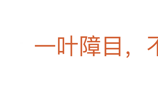 一叶障目,不见泰山