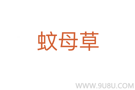 蚊母草
