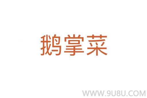 鹅掌菜