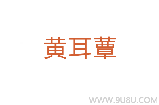 黄耳蕈