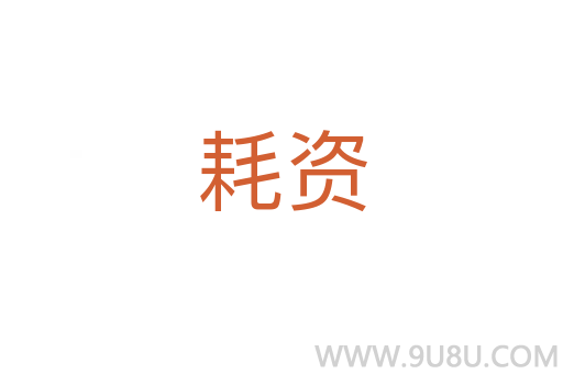 耗资