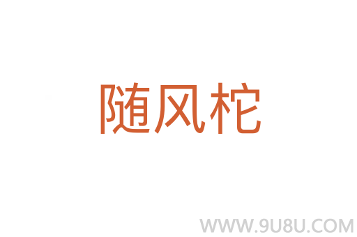 随风柁