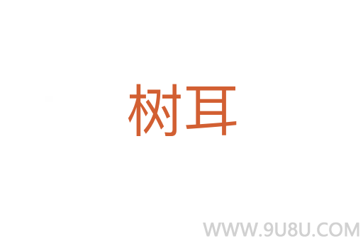 树耳