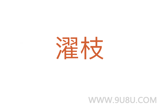 濯枝