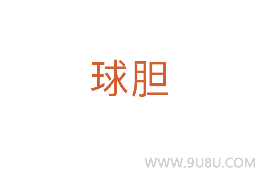 球胆