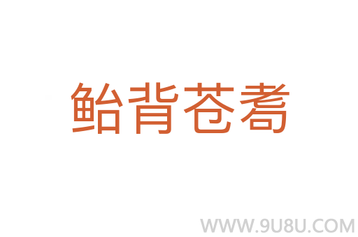 鲐背苍耈