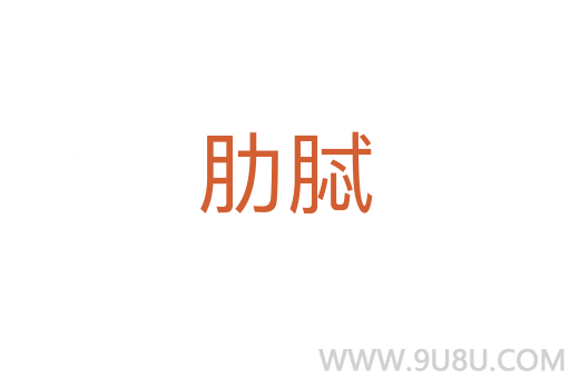 肋脦