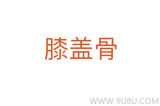 膝盖骨