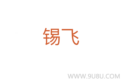锡飞