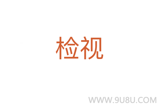 检视