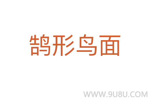 鹄形鸟面