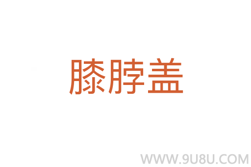膝脖盖