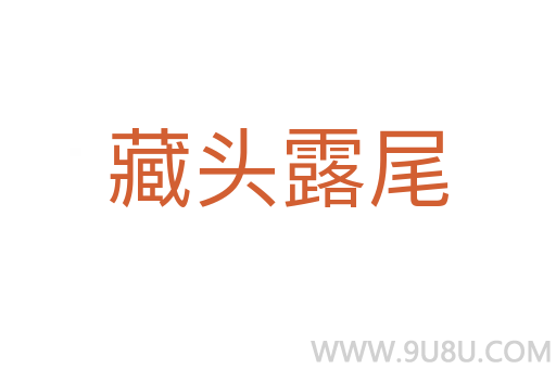 藏头露尾
