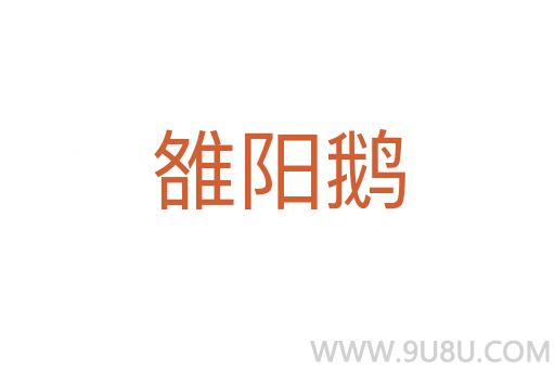 雒阳鹅