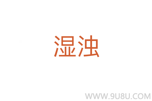 湿浊