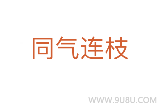 同气连枝