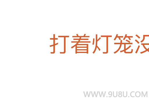 打着灯笼没处找