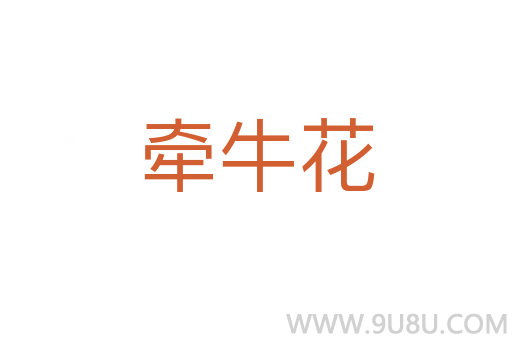 牵牛花