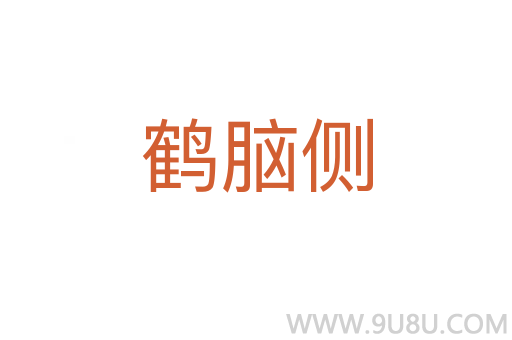 鹤脑侧
