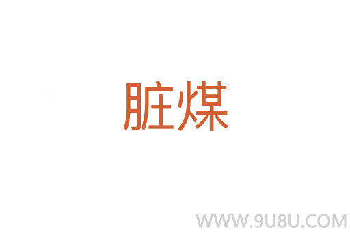 脏煤