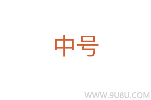 中号