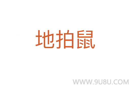 地拍鼠