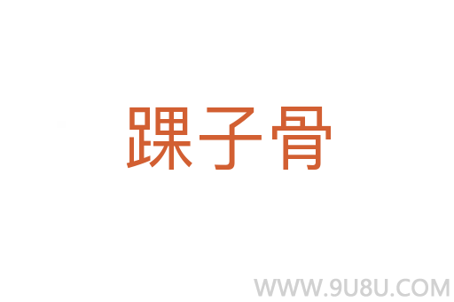 踝子骨