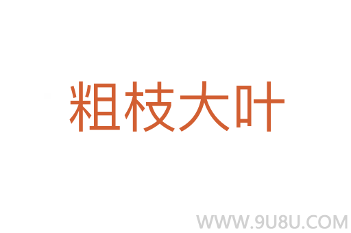 粗枝大叶