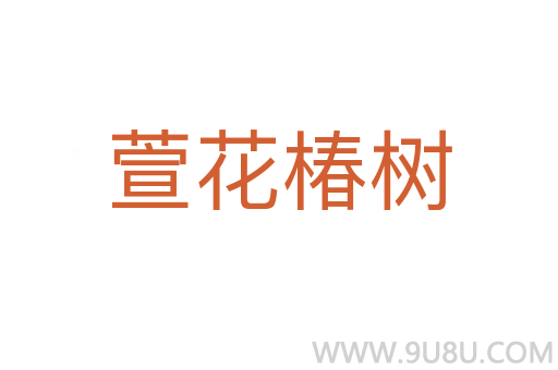 萱花椿树