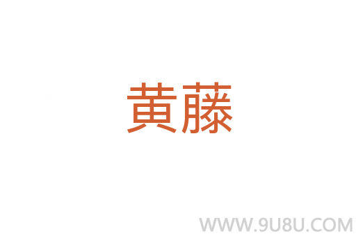黄藤