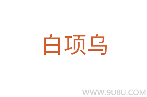 白项乌