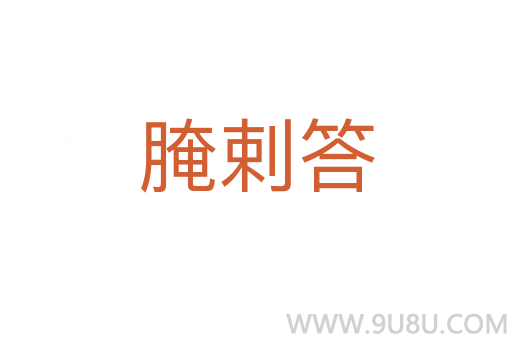 腌剌答