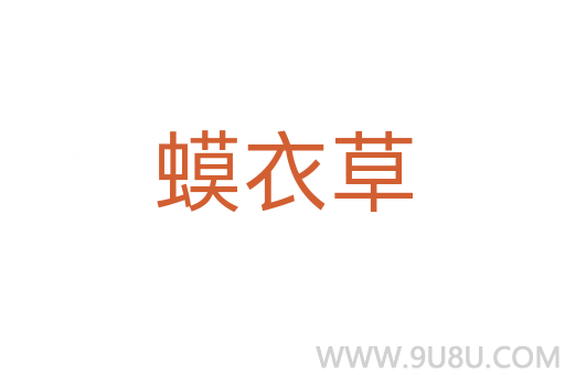 蟆衣草