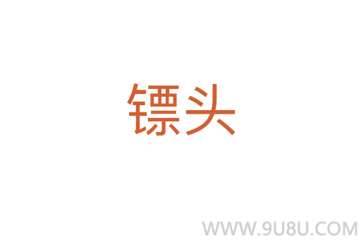 镖头