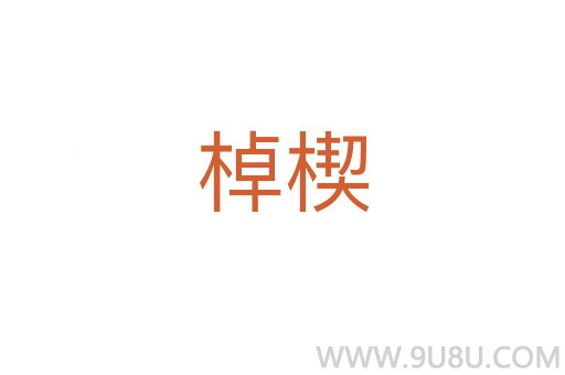 棹楔